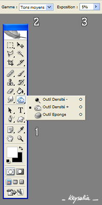 menu dans photoshop pour retoucher l'image menu dans photoshop pour retoucher l'image